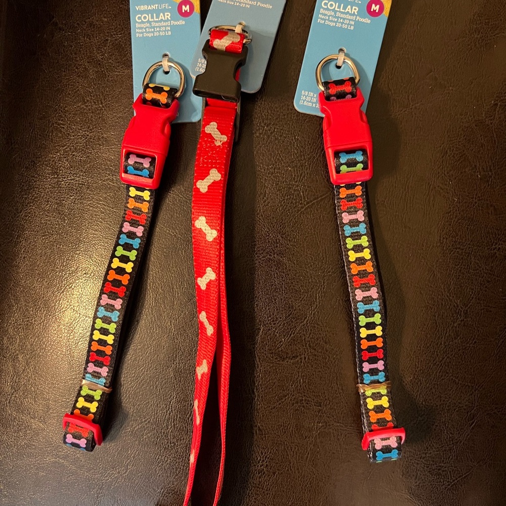 Vibrant Multicolor and Red Dog Collar Trio